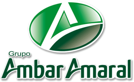 Grupo Ambar Amaral